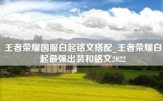 王者荣耀国服白起铭文搭配_王者荣耀白起最强出装和铭文2022