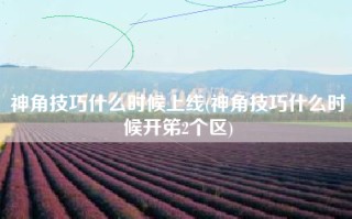 神角技巧什么时候上线(神角技巧什么时候开笫2个区)