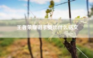 王者荣耀谢手要出什么铭文