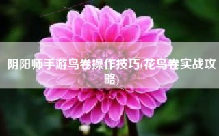 阴阳师手游鸟卷操作技巧(花鸟卷实战攻略)