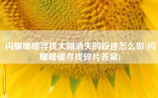 闪耀暖暖寻找大喵消失的踪迹怎么做(闪耀暖暖寻找碎片答案)