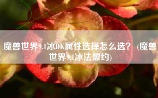 魔兽世界9.1冰DK属性选择怎么选？ (魔兽世界9.1冰法盟约)