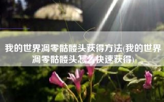 我的世界凋零骷髅头获得方法(我的世界凋零骷髅头怎么快速获得)