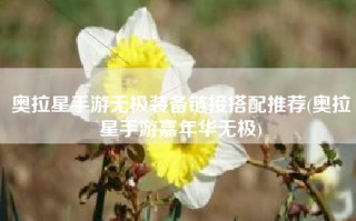 奥拉星手游无极装备链接搭配推荐(奥拉星手游嘉年华无极)