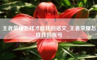 王者荣耀怎样才能找回铭文_王者荣耀怎样找回账号