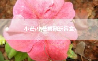小芒(小芒果潮玩盲盒)