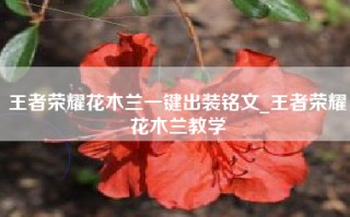 王者荣耀花木兰一键出装铭文_王者荣耀花木兰教学