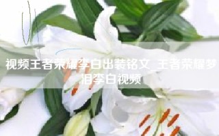 视频王者荣耀李白出装铭文_王者荣耀梦泪李白视频