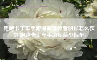 跑跑卡丁车手游深海潜行者船长怎么获得(跑跑卡丁车手游深蓝小板车)
