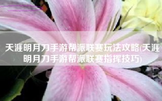 天涯明月刀手游帮派联赛玩法攻略(天涯明月刀手游帮派联赛指挥技巧)