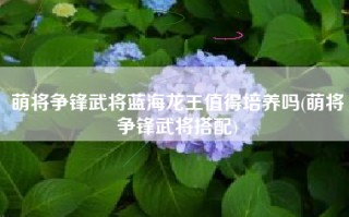 萌将争锋武将蓝海龙王值得培养吗(萌将争锋武将搭配)