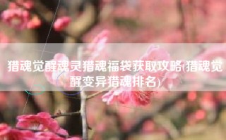 猎魂觉醒魂灵猎魂福袋获取攻略(猎魂觉醒变异猎魂排名)