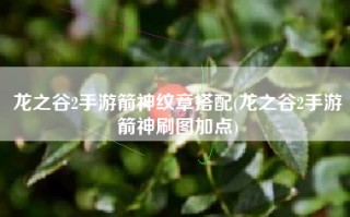 龙之谷2手游箭神纹章搭配(龙之谷2手游箭神刷图加点)