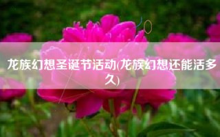龙族幻想圣诞节活动(龙族幻想还能活多久)