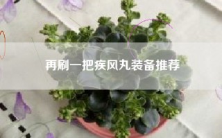 再刷一把疾风丸装备推荐
