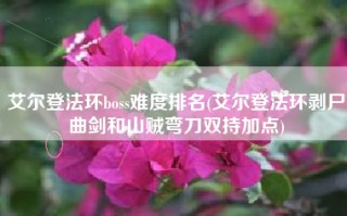 艾尔登法环boss难度排名(艾尔登法环剥尸曲剑和山贼弯刀双持加点)