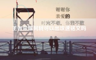 王者荣耀阿轲可以出攻速铭文吗
