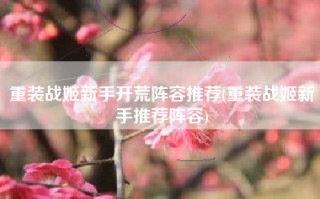 重装战姬新手开荒阵容推荐(重装战姬新手推荐阵容)