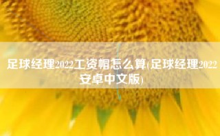 足球经理2022工资帽怎么算(足球经理2022安卓中文版)