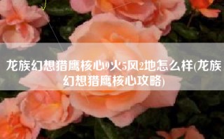 龙族幻想猎鹰核心9火5风2地怎么样(龙族幻想猎鹰核心攻略)