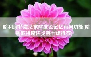 哈利波特魔法觉醒发色记忆有何功能(哈利波特魔法觉醒卡组推荐)_1