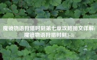 魔镜物语狩猎时刻第七章攻略图文详解(魔镜物语狩猎时刻3-3)