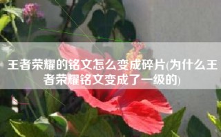 王者荣耀的铭文怎么变成碎片(为什么王者荣耀铭文变成了一级的)