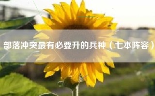 部落冲突最有必要升的兵种（七本阵容）