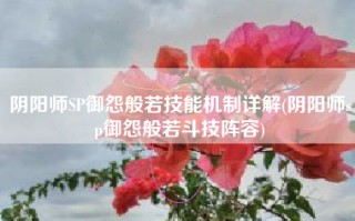阴阳师SP御怨般若技能机制详解(阴阳师sp御怨般若斗技阵容)