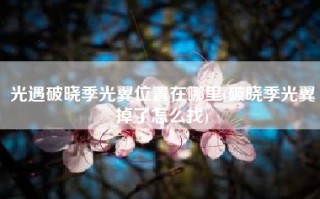 光遇破晓季光翼位置在哪里(破晓季光翼掉了怎么找)