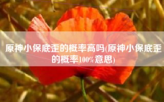 原神小保底歪的概率高吗(原神小保底歪的概率100%意思)