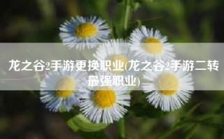 龙之谷2手游更换职业(龙之谷2手游二转最强职业)