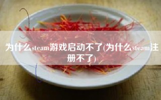 为什么steam游戏启动不了(为什么steam注册不了)
