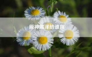原神竭泽给谁用
