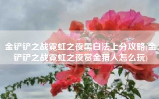 金铲铲之战霓虹之夜黑白法上分攻略(金铲铲之战霓虹之夜赏金猎人怎么玩)