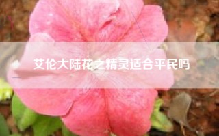 艾伦大陆花之精灵适合平民吗