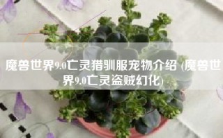 魔兽世界9.0亡灵猎驯服宠物介绍 (魔兽世界9.0亡灵盗贼幻化)