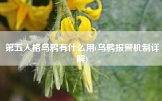 第五人格乌鸦有什么用(乌鸦报警机制详解)