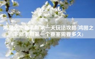 鸿图之下新手期第一天玩法攻略(鸿图之下新手期第一个要塞需要多久)