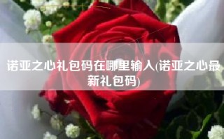 诺亚之心礼包码在哪里输入(诺亚之心最新礼包码)