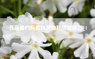 苍蓝誓约捞船队低油耗搭配技巧_1