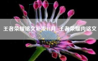 王者荣耀铭文补发11月_王者荣耀肉铭文