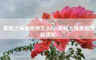 黎明之海重炮师怎么玩(黎明之海重炮技能搭配)