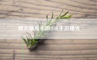 胖次曝光手游,LOL手游曝光