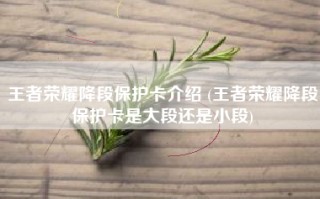 王者荣耀降段保护卡介绍 (王者荣耀降段保护卡是大段还是小段)