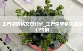 王者荣耀铭文页怜悯_王者荣耀铭文虚空和怜悯