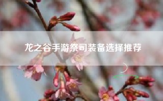龙之谷手游祭司装备选择推荐