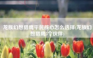 龙族幻想猎鹰平民核心怎么选择(龙族幻想猎鹰5个伙伴)