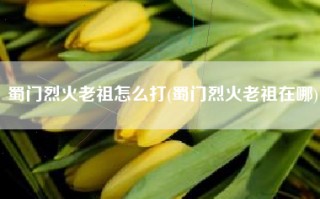 蜀门烈火老祖怎么打(蜀门烈火老祖在哪)
