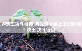 游戏王决斗链接7月光道卡组上王攻略(游戏王 决斗链接)